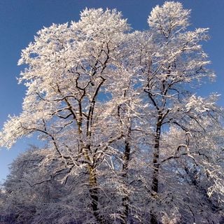 Epoch's Fables Vol.104