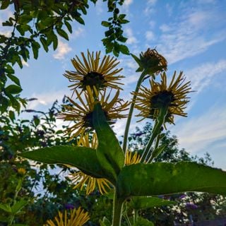 Epoch's Fables Vol.433