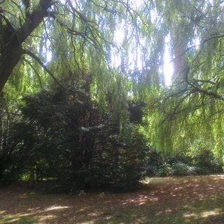 Epoch's Fables Vol.176