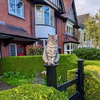 Epoch's Fables Vol.425