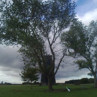 Epoch's Fables Vol.184