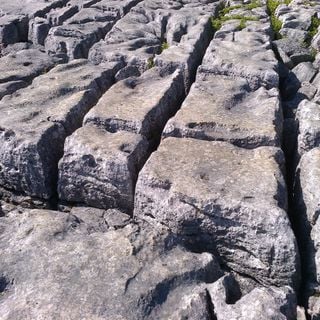 Epoch's Fables Vol.207