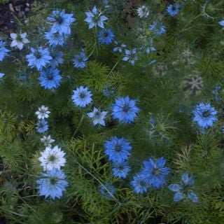 Epoch's Fables Vol.310