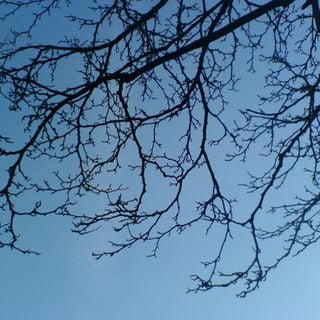 Epoch's Fables Vol.28