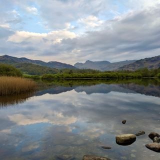 Epoch's Fables Vol.455