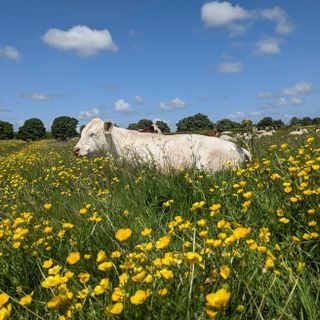 Epoch's Fables Vol 427