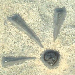 Epoch's Fables Vol.74