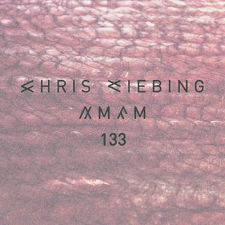 AM|FM 133