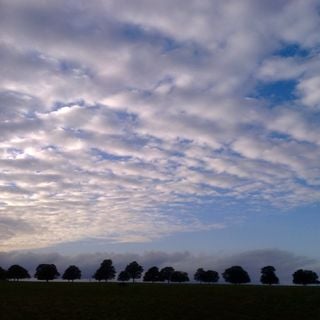 Epoch's Fables Vol.347