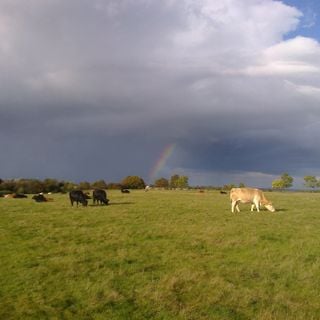 Epoch's Fables Vol.263