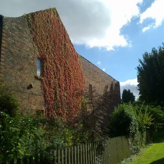 Epoch's Fables Vol.142