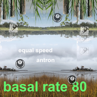 Basal rate 80 w/ antron & equal speed