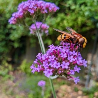 Epoch's Fables Vol.482