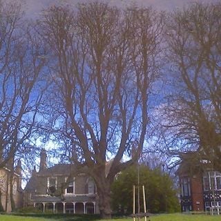 Epoch's Fables Vol.397