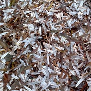 Epoch's Fables Vol.113