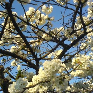 Epoch's Fables Vol.30