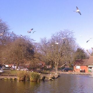 Epoch's Fables Vol.296