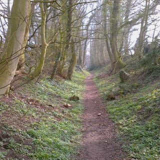 Epoch's Fables Vol.202