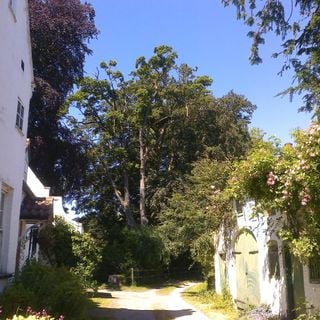 Epoch's Fables Vol.302