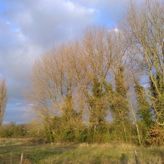 Epoch's Fables Vol.321