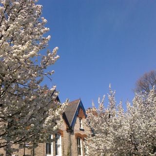 Epoch's Fables Vol.297