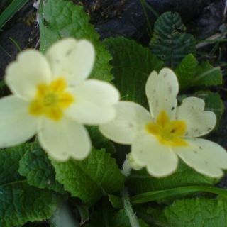 Epoch's Fables Vol.32