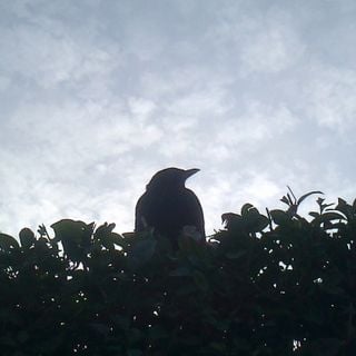 Epoch's Fables Vol.160