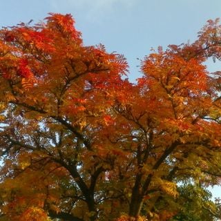 Epoch's Fables Vol.241