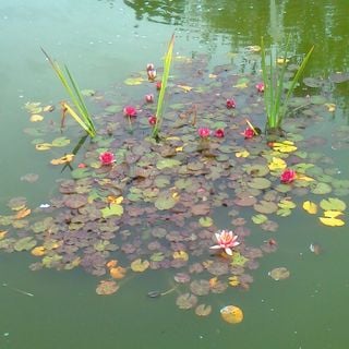 Epoch's Fables Vol.87