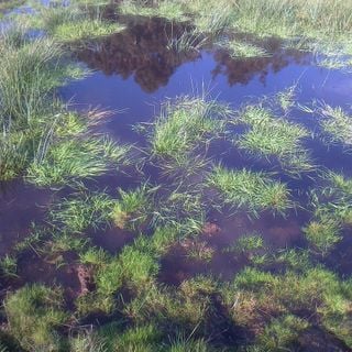 Epoch's Fables Vol.143