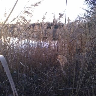 Epoch's Fables Vol.323