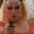 nicolatron's profile picture