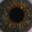 Bassbinvisual aka. X Metal XX's profile picture