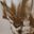 Roger Gordon Pim's profile picture
