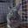 masamune430's profile picture