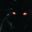 Patrex's profile picture