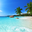 Paradise (Beach / Club)'s profile picture