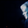 Stepan Bitus's profile picture