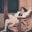 DJLower's profile picture