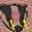 Bootsy Yo's profile picture