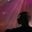 Thomas Algren's profile picture