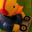 tpbee's profile picture