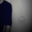 UW's profile picture