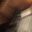 Franzikar's profile picture