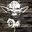 Wild Union Group's profile picture