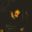 The ParaNox's profile picture