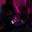 CYNIC's profile picture