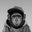 monkey can play's profile picture
