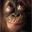 Murray Cotgrove's profile picture