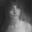 Eva Geist's profile picture
